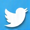 Twitter Icon